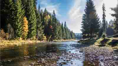 Trails of the Apuseni Mountains