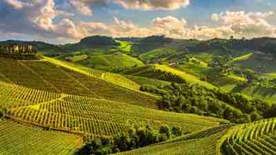 most popular, italy walking holidays, walking holidays in italy, Piedmont Wine Country: Barbaresco to Barolo, A new walking holiday in beautiful Piedmont