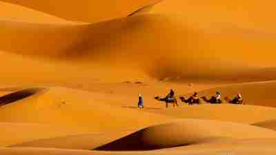 Mount Toubkal and Sahara Desert Trek