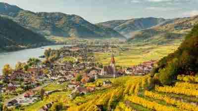 walking in the wachau wine country