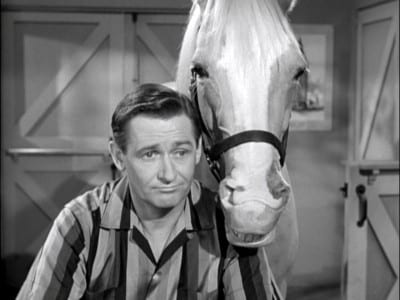 MIster Ed TV Show
