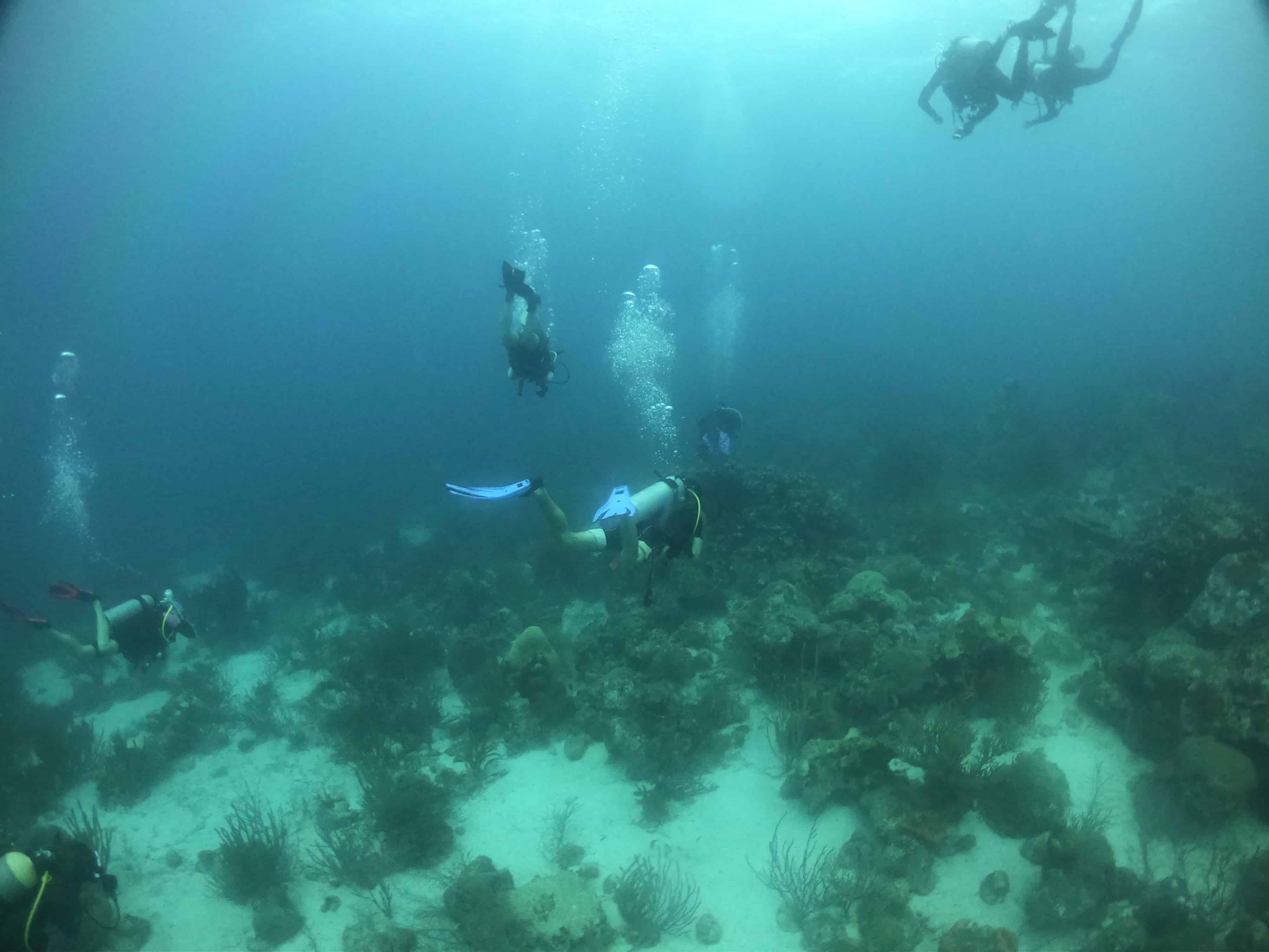 How is wreck diving in Aruba?