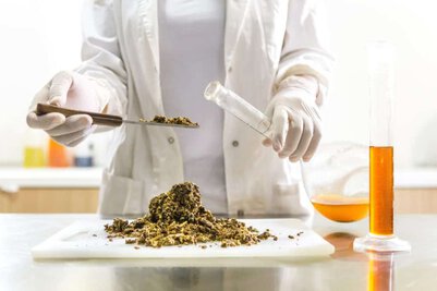 A clinical trial on bee products especially honey and propolis showed that propolis may help in overall wellness without allergic reactions