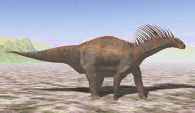 WA-Natural-science-museum-Amargasaurus-cazaui A pictoral of the Amargasaurus, which was native to Argentina
