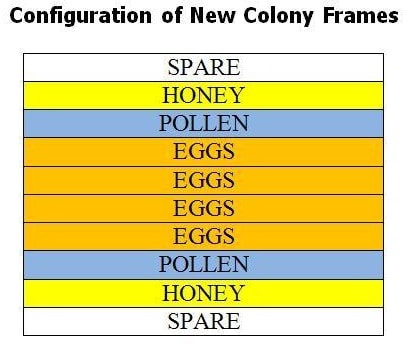 Proper Beehive Configuration