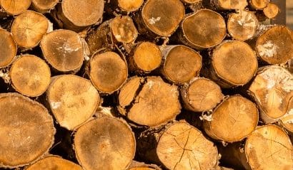 bois-de-chauffage