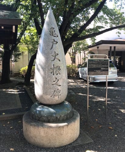 亀戸大根