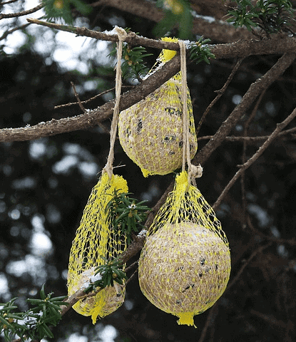 Mesh Suet Ball Holder mesh suet ball holder