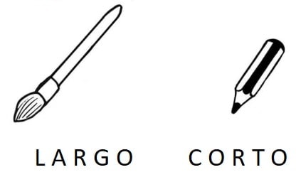 explicacion conceptos largo y corto