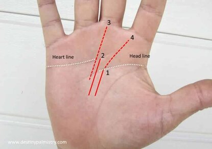 money and travel signs, career fate line, best palm reader in the world, master palmist, carrer, carrier palms, fate line timing