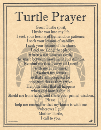 Turtle Prayer Turtle prayer by Travis Bowman