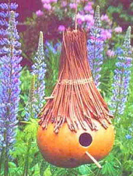 Gourd Houses Are Number One A picture of a gourd house among a bunch of flowers.