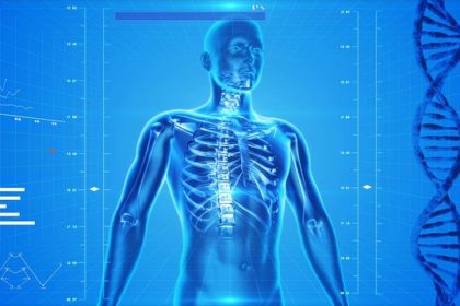 human-skeleton-163715_640