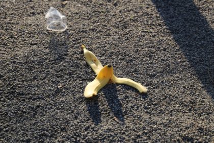 Food waste