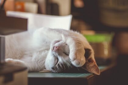 10 reasons why you’re always exhausted 10 reasons why you're always exhausted
