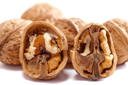 allergia al nichel diagnosi e desensibilizzazione