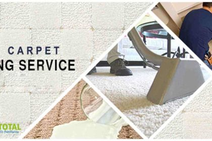 Rug Cleaning Services Rug Cleaning Services