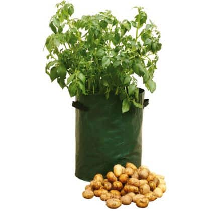 potato patio planter