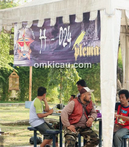 One Stop Pleci Festival