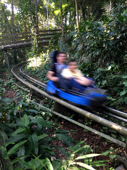 Youhooo - trenó de montanha que passa atinge 60 km/h Youhooo - trenó de montanha que passa atinge 60 km/h