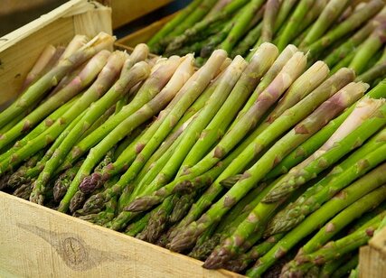 Guide For How To Store Asparagus Properly To Keep It Delicious