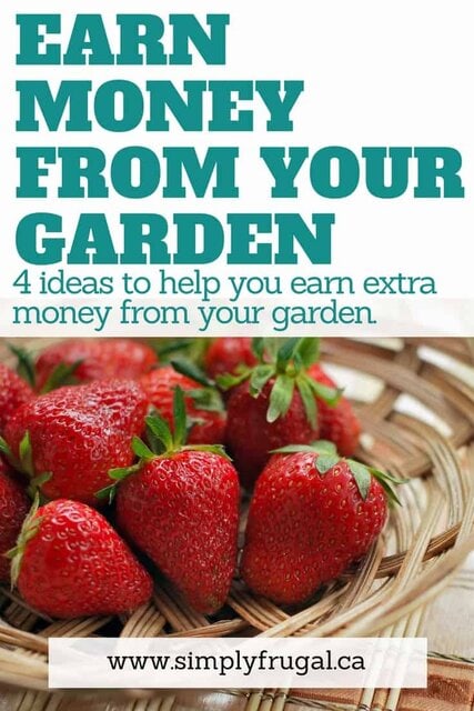 How to earn money from your garden. These 4 ideas will help you earn extra money from your garden.