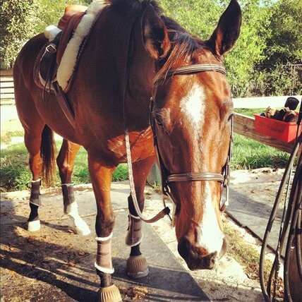 Simon's Schooling Outfit