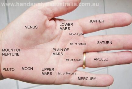 learn palmistry, sari puhakka, destiny palmistry, hand analysis australia, short life line, venus mount, jupiter mount, mount of moon, palmistry