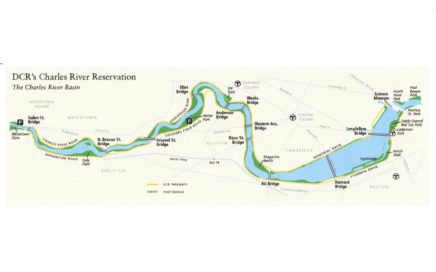 Riverbank Vegetation Management Plan