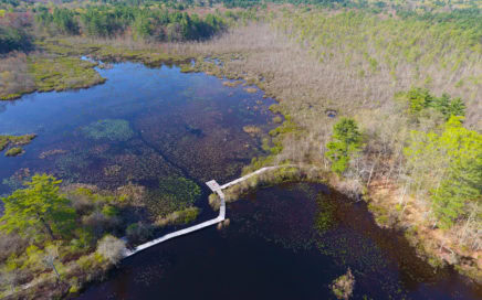 aerial imagery environmental assessment