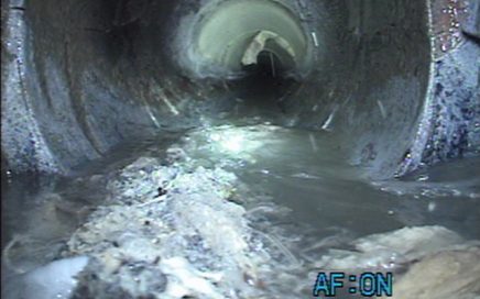 West Columbia WC-02 Basin SSES
