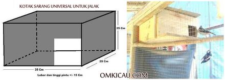 Tempat sarang yang biasa digunakan dalam menangkarkan burung dari jenis jalak-jalakan