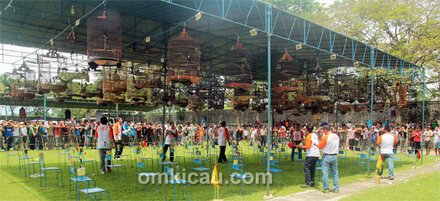 WMP Cup Klaten
