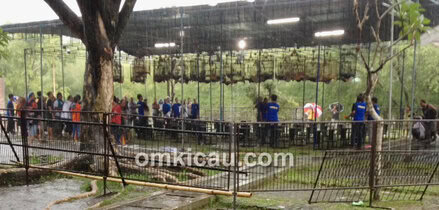 1st Anniversary TKKM Cup Jogja