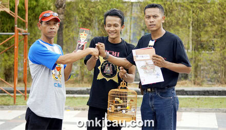 One Stop Pleci Festival - Jogja