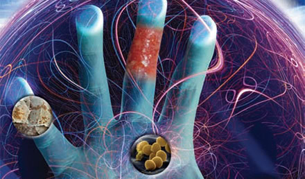 Assessment and Management of Common Hand Infections Assessment and Management of Common Hand Infections