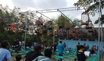 Suasana pada perlombaan pleci