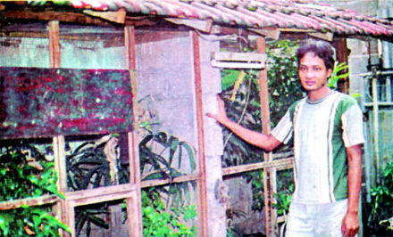 Kandang penangkaran decu