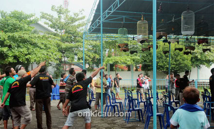 Lomba Burung Diplomat Open II Madiun