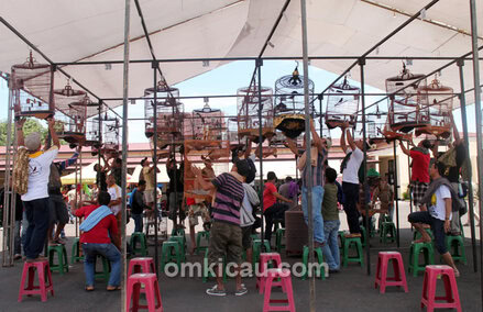 Lomba Burung HUT Ke-68 Brimob di Makassar