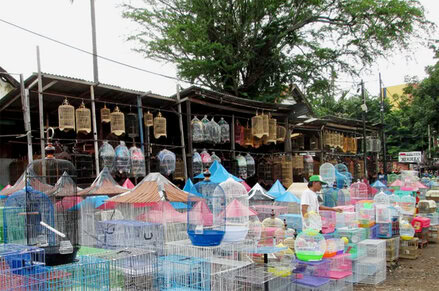 Pasar Burung Pramuka