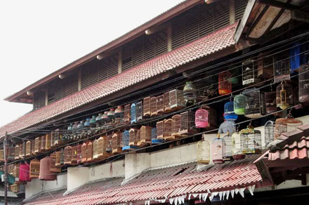 Pasar Burung Pramuka