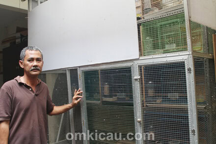 Kandang penangkaran murai batu