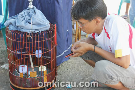 Rendhot dan anis kembang Penggoda