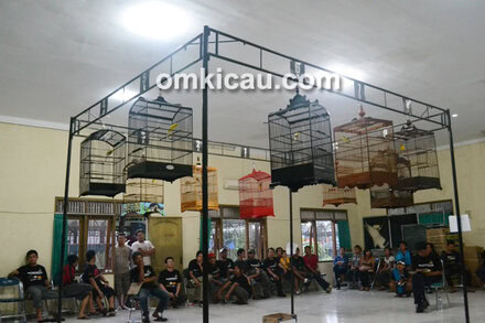 Kontes Papburi Klaten