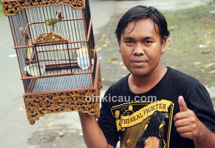 Pleci Dewa-Dewi