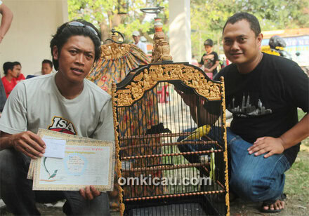 Kenari Olig-Olig