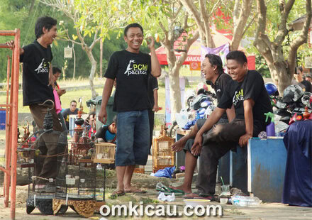 One Stop Pleci Festival - Jogja