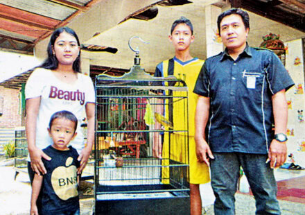 Irul Wistrop