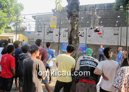 Latber Bodem Jogja